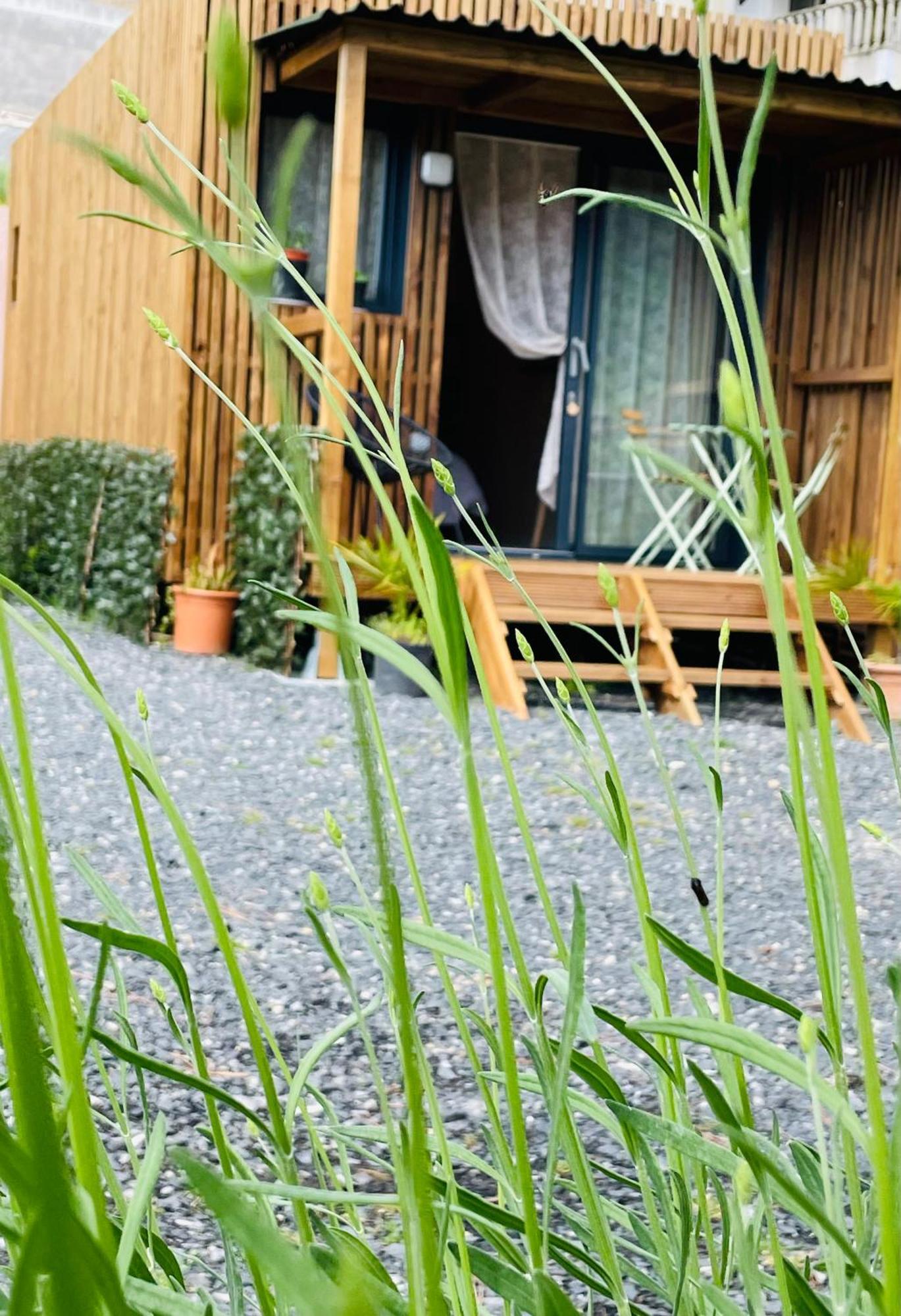 Douce Quietude "L'Escapade" Chambre D'Hotes Vals-les-Bains Exteriör bild